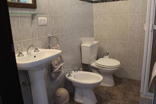 een badkamer met een toilet en een wastafel bij Casa de Grillos in El Calafate