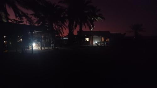 a house at night with palm trees in the foreground at Gazelle Estate in Kakamas