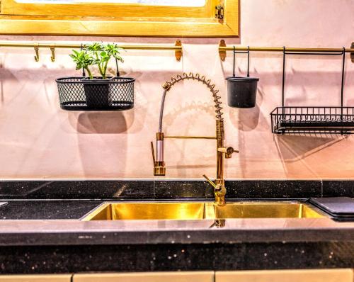 een gootsteen met twee potplanten aan de muur bij Old world charm, modern comfort in Chefchaouene