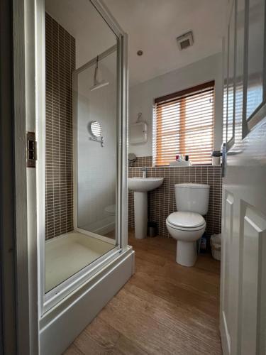 a bathroom with a shower and a toilet and a sink at Flavian House in Chichester