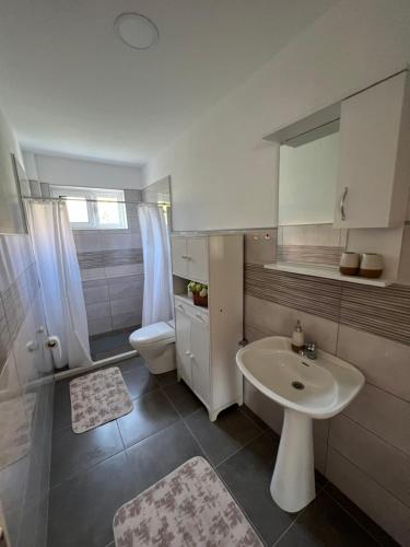 a bathroom with a sink and a toilet at Apartments Andrović in Ulcinj