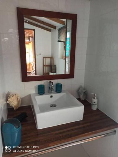La salle de bains est pourvue d'un lavabo blanc et d'un miroir. dans l'établissement Horizons Caraïbes, à Sainte-Luce