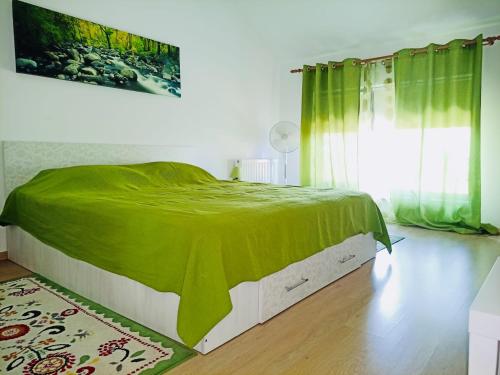 een slaapkamer met een bed met een groene deken erop bij Casa Wave Sound in Agigea