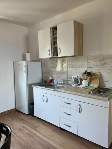 Кухня или мини-кухня в Apartments Andrović
