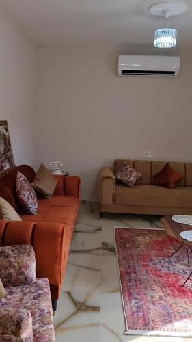 uma sala de estar com um sofá e um tapete em Fawaz apt em Bursa