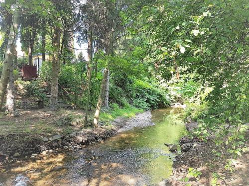 a stream of water with trees on the side at Muskátli Vendégház in Parádfürdő-Peres