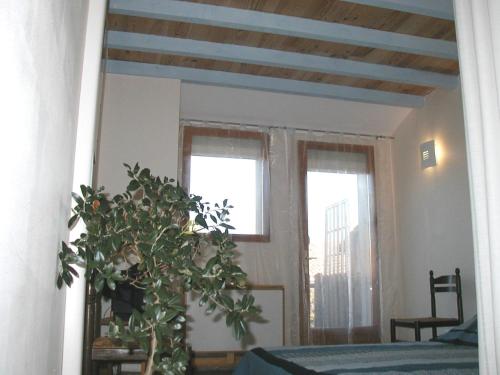 einen Spiegel in einem Schlafzimmer mit einer Pflanze darin in der Unterkunft La Parenthèse in Sommières