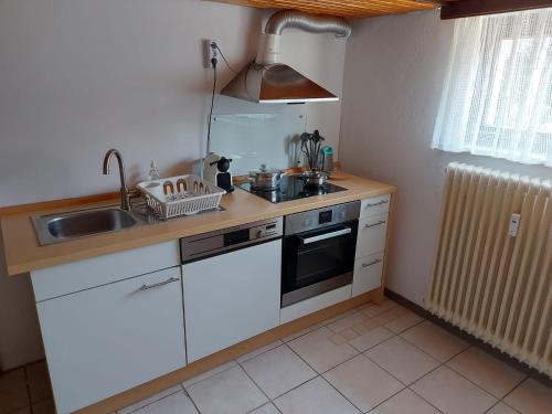 Il comprend une cuisine équipée d'un évier et d'une cuisinière. four supérieur dans l'établissement Ferienwohnung am Bächle, à Münstertal