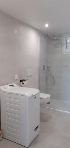 a white bathroom with a shower and a toilet at Au coucher du lac in Publier