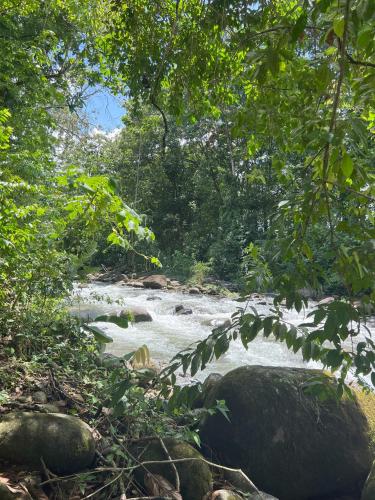 a river in a forest with rocks and trees at La Casa Pina Pacifica near La Fortuna in San Ramón
