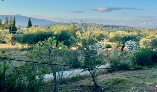 uma vista para um rio num campo com árvores em Cozy Corfu Bungalow 5 minutes to Aqualand em Corfu Town