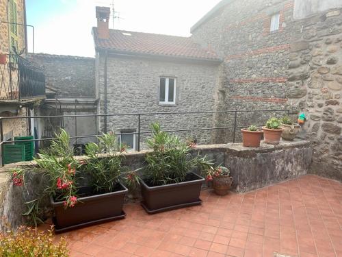 eine Terrasse mit Topfpflanzen und ein Gebäude in der Unterkunft Affittacamere Dodo in Villafranca in Lunigiana