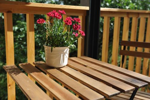 a vase of flowers sitting on a wooden bench at Beim Bergjosl in Kirchbach in Steiermark