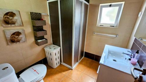 a bathroom with a shower and a toilet and a sink at Adega do Bisavô in Santa Cruz da Graciosa