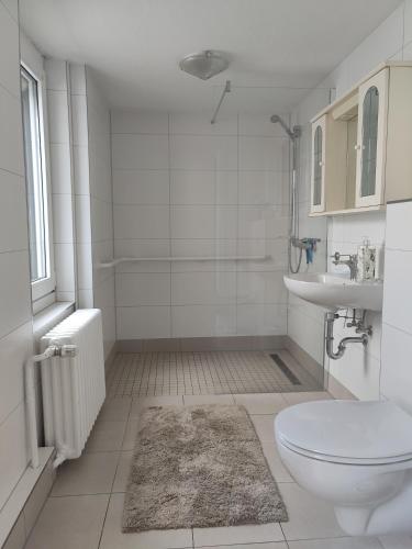 a white bathroom with a toilet and a sink at Ferienwohnung Ludwigslust in Ludwigslust