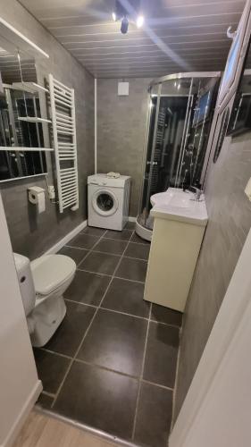 une salle de bain avec toilettes et lavabo et une machine à laver dans l'établissement Appartement Rethel - Netflix - Marc & cécile, à Rethel