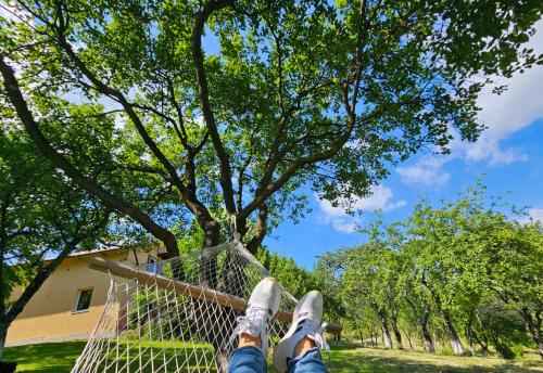 En have udenfor Vila pe deal in Poiana Marului