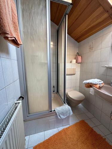 a bathroom with a shower and a toilet and a sink at Apartment Kranzberg in Mittenwald