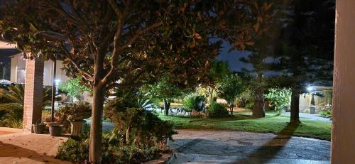 Ein Garten an der Unterkunft B&B Le Dee di Paestum