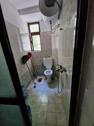 y baño pequeño con aseo y ducha. en Vila Golem, en Golem