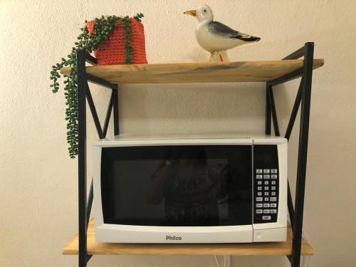 un pájaro posado encima de un microondas en Loft charmoso em Copacabana, en Río de Janeiro