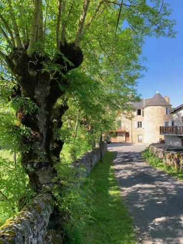 un arbre au bord d'une route à côté d'un mur de pierre dans l'établissement Charming House in Gorgeous, Quiet Village in the Aveyron countryside, à Vimenet