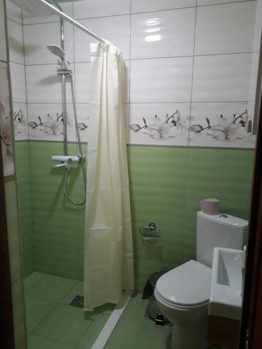 a bathroom with a shower with a toilet and a sink at на гірському схилі in Slavske