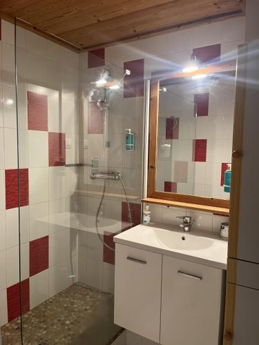 une salle de bain avec une douche, un lavabo et un miroir dans l'établissement Tignes le Lac - Appartement au pied des pistes, à Tignes