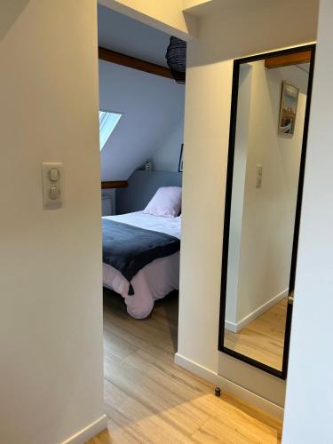 a bedroom with a bed and a mirror at La Paulerie in Wacquinghen
