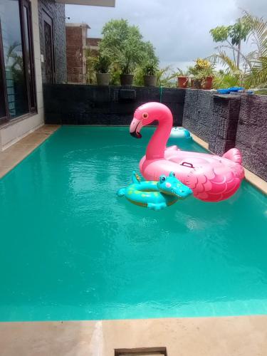 Lavanya Villa with private pool Udaipur في أودايبور: فلامنغو وردي و لعبة في حمام السباحة