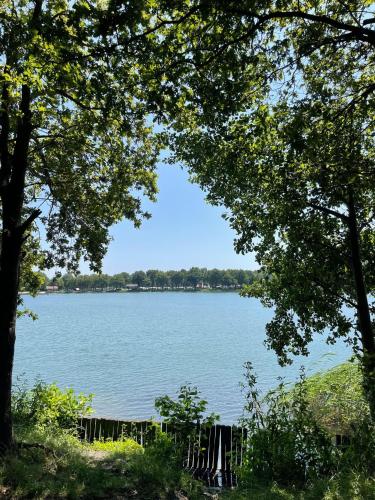 a view of a large lake from between two trees at Boerderij appartement De Casterie in Bornerbroek
