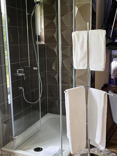 a shower with a glass door with towels on it at Hotel Krone Sihlbrugg in Sihlbrugg Dorf