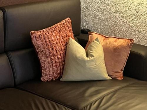 two pillows sitting on top of a couch at Hotel Krone Sihlbrugg in Sihlbrugg Dorf