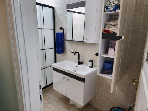a small bathroom with a sink and a mirror at Two Bedroom Flat in the Garden at the Bosphorus in Istanbul