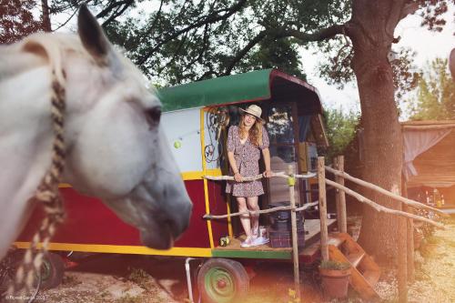 Authentique roulotte en Camargue