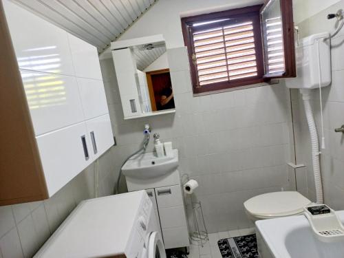 ein kleines Bad mit einem Waschbecken und einem WC in der Unterkunft Apartman Alex 7 in Bajina Bašta