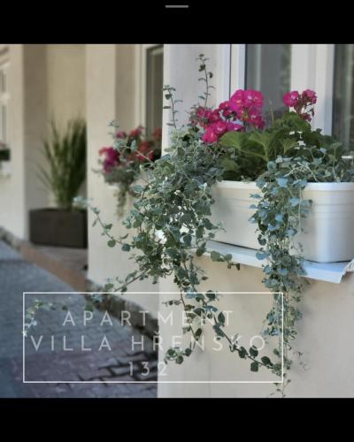 a group of potted plants on a window sill at Apartment Villa Hřensko 132 in Hřensko