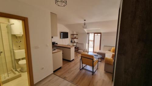 a room with a kitchen and a living room at Guest House Alte in Kolašin