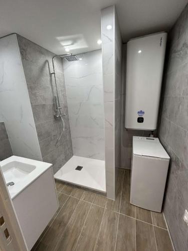 uma casa de banho com um chuveiro, um lavatório e um WC. em Appartement cap agde port 4 couchage em Cap d'Agde