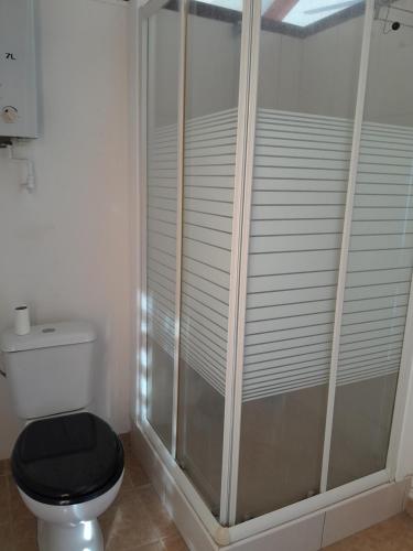 La salle de bains est pourvue de toilettes et d'une cabine de douche en verre. dans l'établissement Bungalow Miwa, à Punaauia