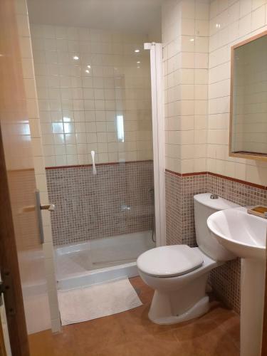 a bathroom with a toilet and a shower and a sink at FEMALE ONLY Pinar de Chamartin room in Madrid