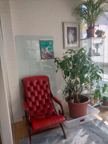 a red chair in a room with a potted plant at FEMALE ONLY Pinar de Chamartin room in Madrid