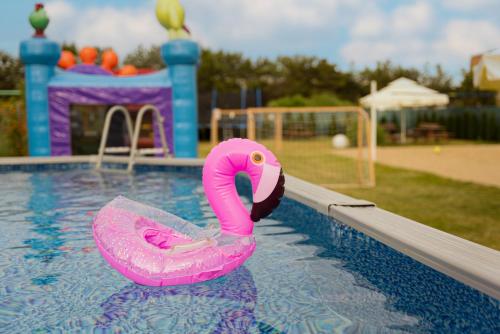 a pink swan float in a swimming pool at Domki Sarbinowo Elizjum in Sarbinowo