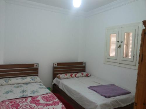 - une chambre avec 2 lits et une fenêtre dans l'établissement Aida, à El Alamein