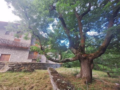 a tree in a yard next to a building at La casa del Gigante Frassino in Acceglio