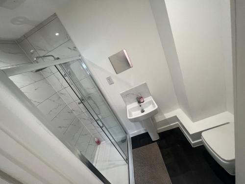 a bathroom with a shower and a toilet and a sink at Modern City Centre Executive Flat in Southend-on-Sea