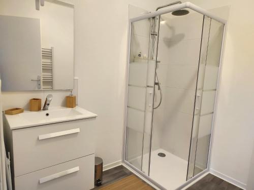 a bathroom with a shower and a sink at Le Pampas - ZMN Conciergerie in Saint-Quentin