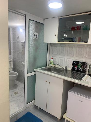 La petite salle de bains est pourvue d'un lavabo et de toilettes. dans l'établissement Tradicional Bazaar Home, à Korçë