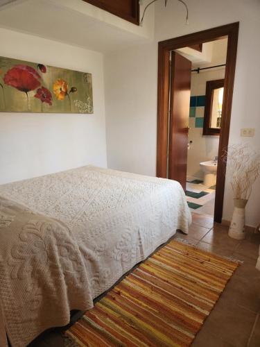 ein Schlafzimmer mit einem Bett und einem Teppich auf dem Boden in der Unterkunft Tertium house in Telti