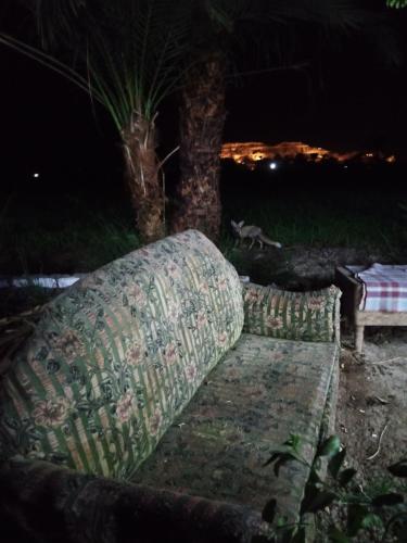 Magic West Bank – Photos 2